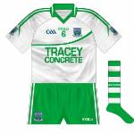 Fermanagh:
A plain reversal, though it probably wouldn't be the most ideal if Limerick or Meath were the opposition and wore green.